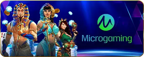 12_micro